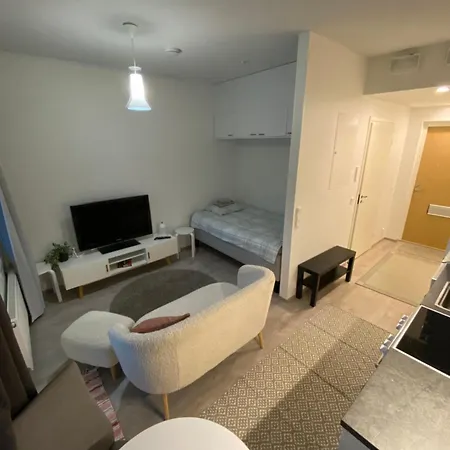 Moderni Yksioe, Omalla Autopaikalla * Joensuu