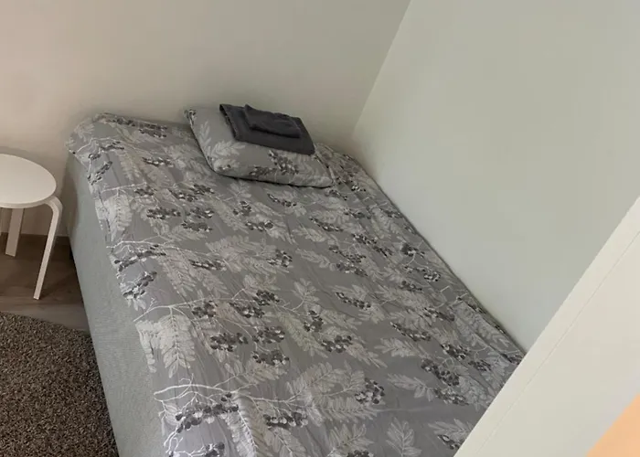 アパート Moderni Yksioe, Omalla Autopaikalla *